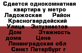 Сдается однокомнатная квартира у метро Ладожоская.  › Район ­ Красногвардейский › Улица ­ Энтузиастов › Дом ­ 39 › Этажность дома ­ 9 › Цена ­ 14 000 - Ленинградская обл., Санкт-Петербург г. Недвижимость » Квартиры аренда   . Ленинградская обл.